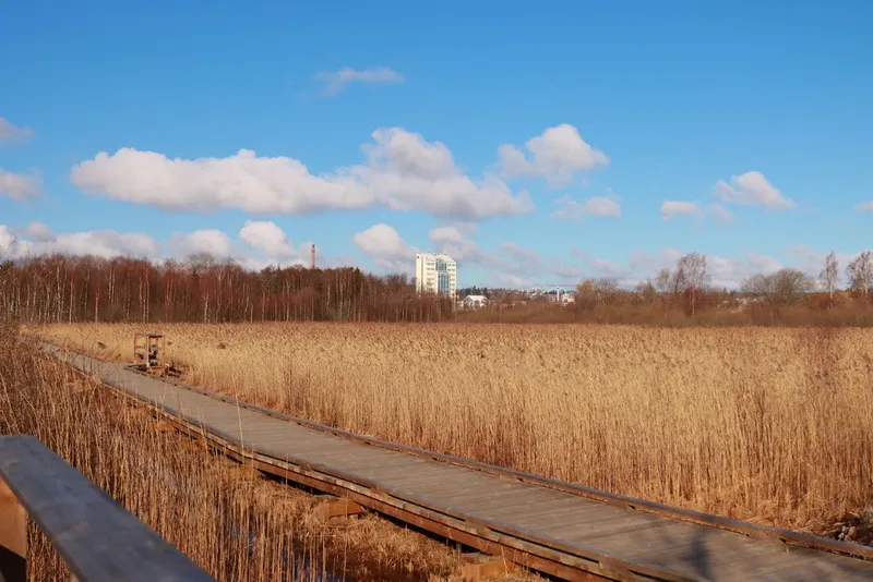 Naturreservatet Rocksjön