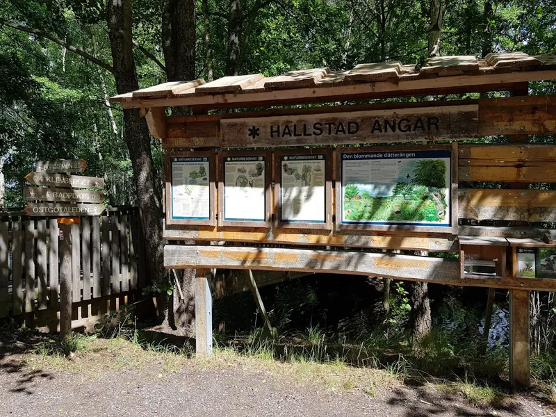 Hallstad ängar naturreservat