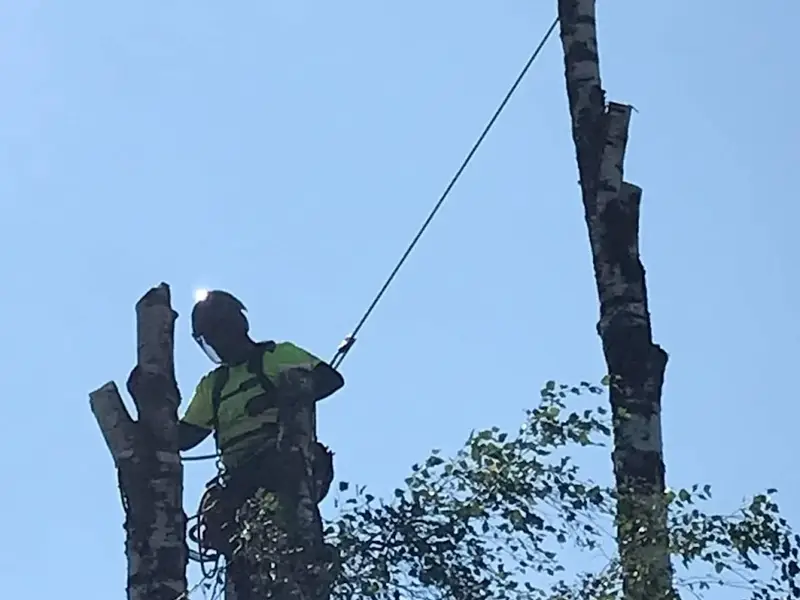 Syltered Trädtjänst AB