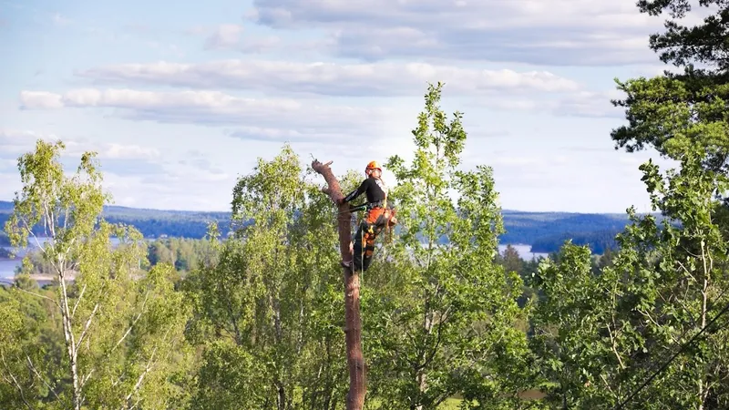 Träd Med Mera Sverige AB