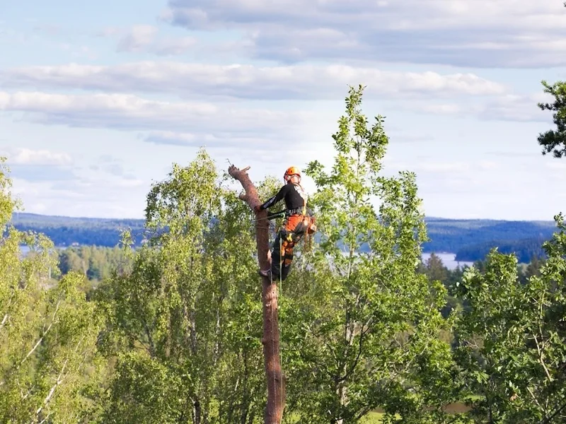 Träd Med Mera Sverige AB