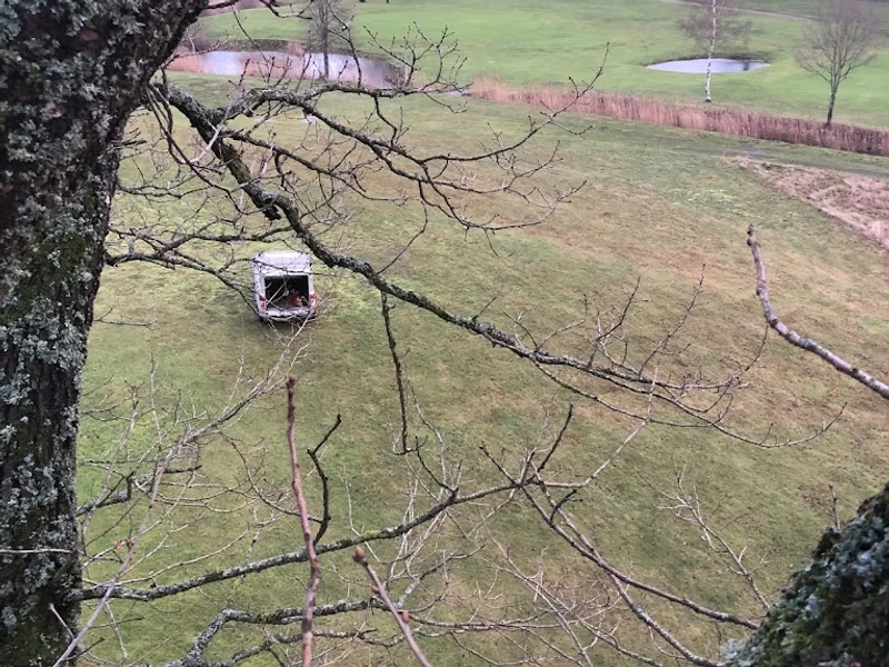 Halmstad Trädfällning & Stubbfräsning