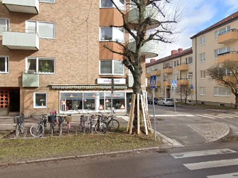 Magnusons Trafikskola AB