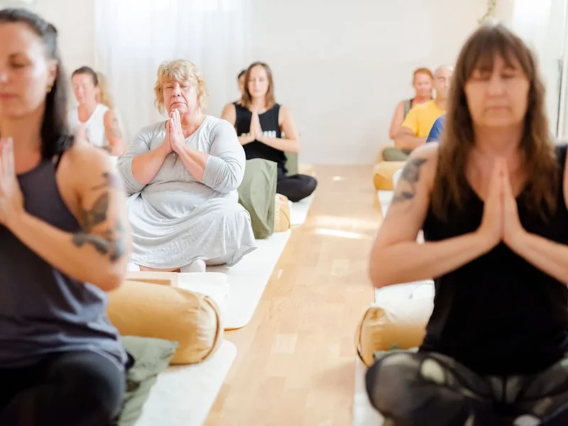 Framgångspraktiken - Pia Hidenius