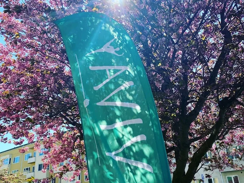 Artirawellness, Butik Viva