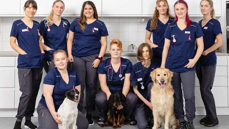 Cityveterinären