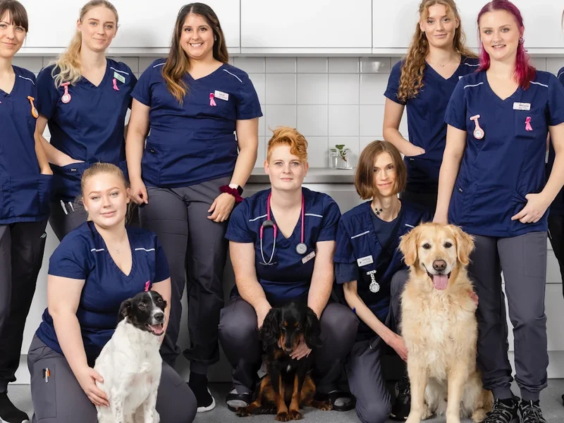 Cityveterinären