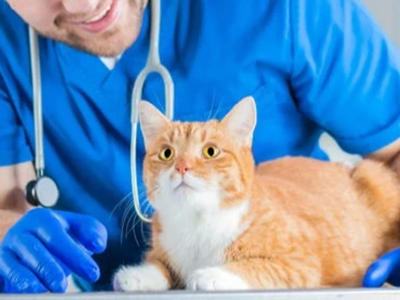 He-Vet AB