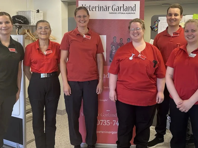 Veterinär Garland