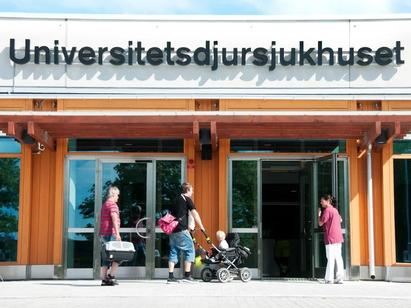 SLU Universitetsdjursjukhuset (UDS), smådjurskliniken