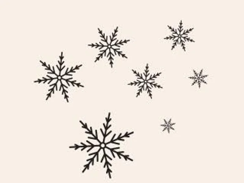 Snowflake Beauty Lounge