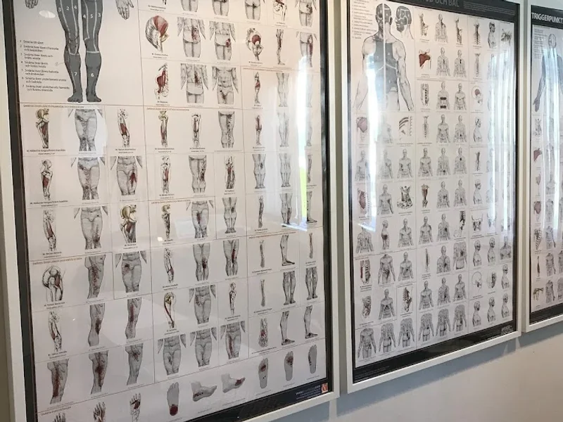 Vigör Massage Norrköping