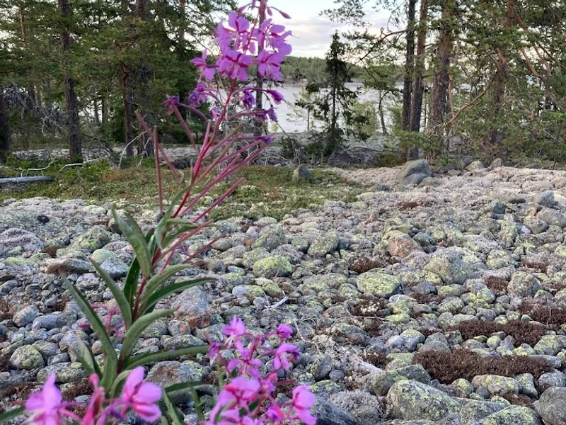 Nidarosens massage och hälsoutveckling