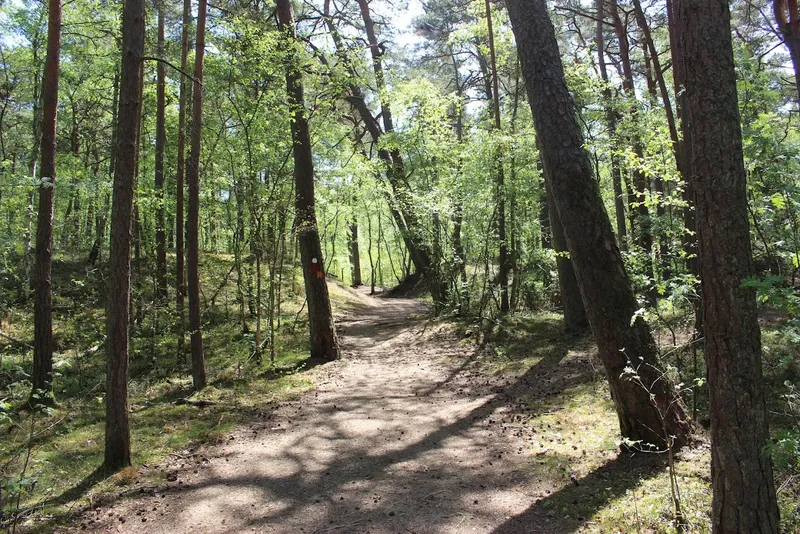 Kronoskogen Ängelholm