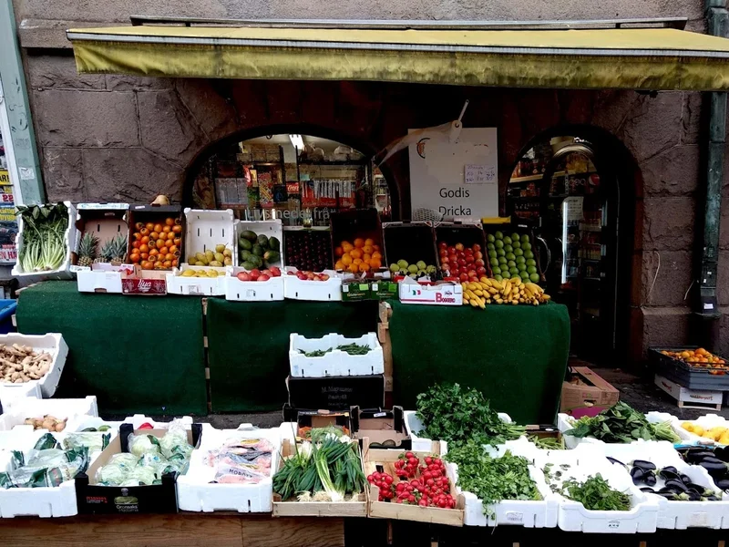 Alingsås orientlivs