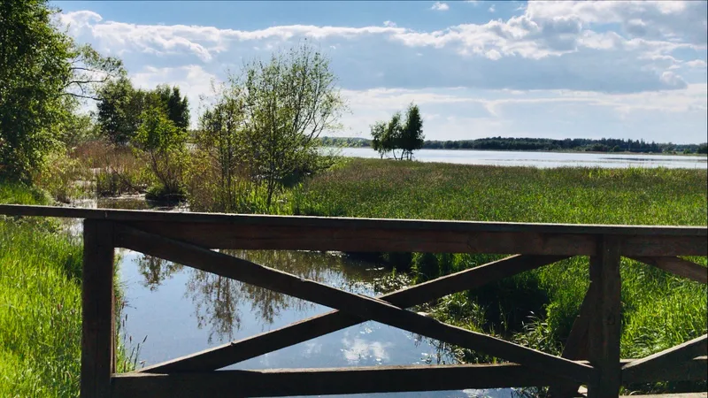 Björkby-Kyrkvikens naturreservat