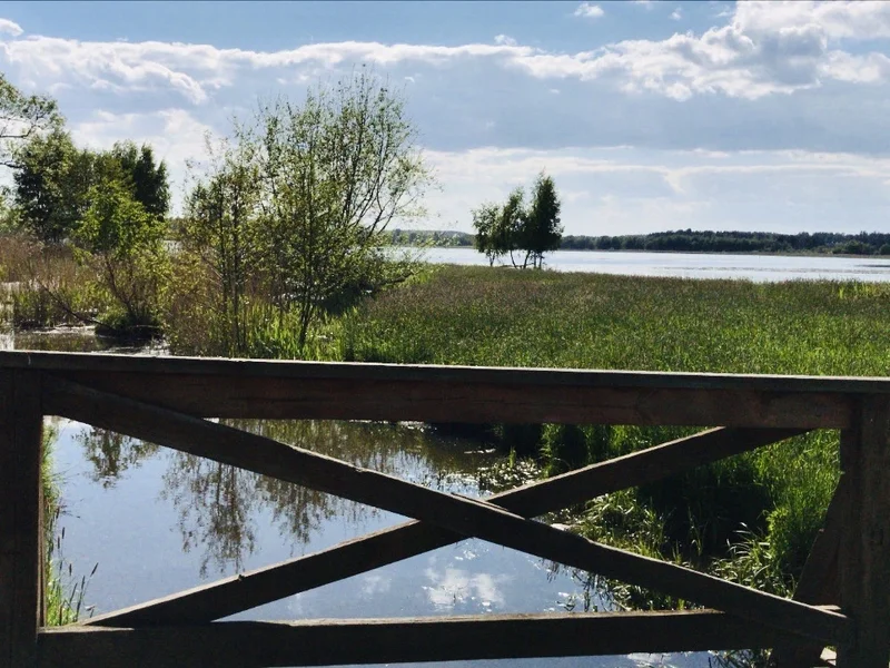 Björkby-Kyrkvikens naturreservat