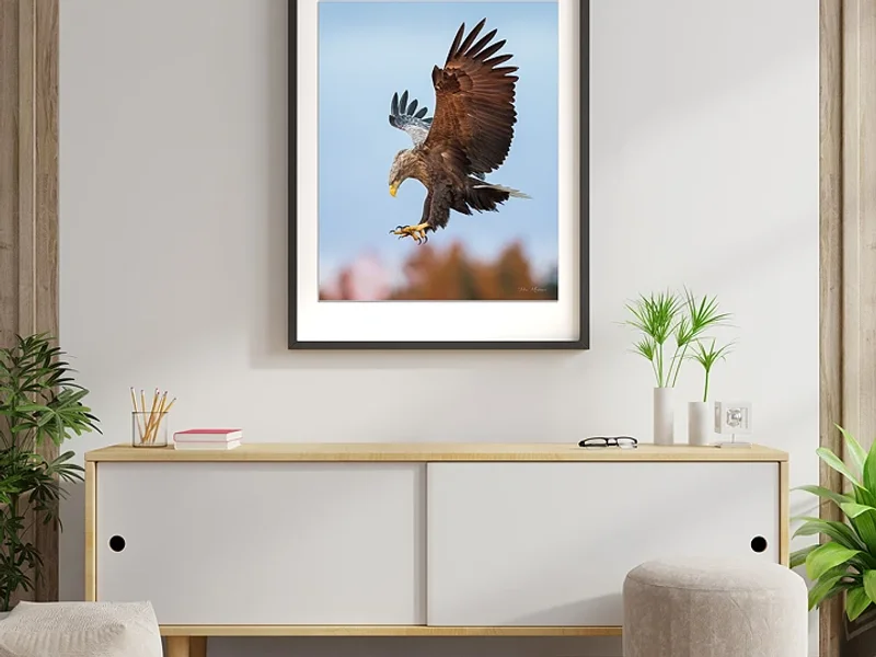 LJ Fotoateljé / Natureprints