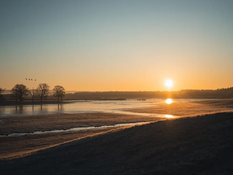 Lukas Thor Film & Foto