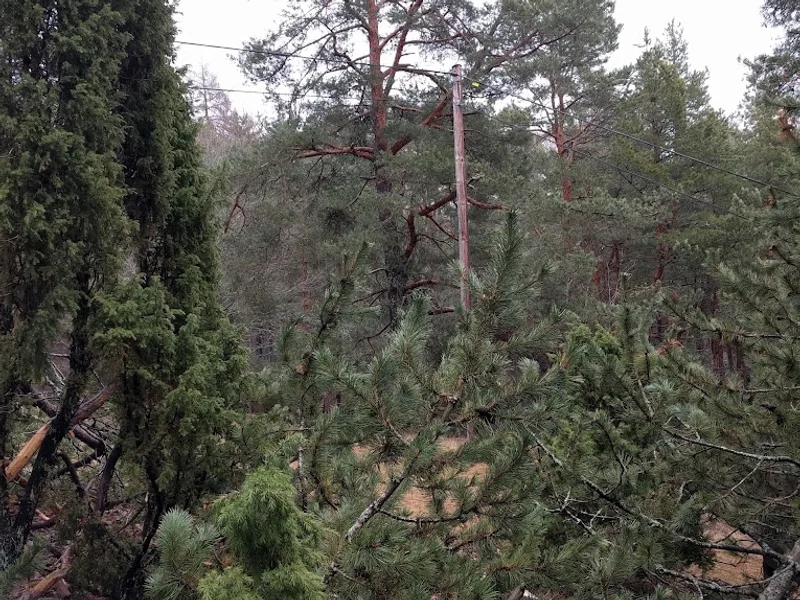 Enköpings Scoutkår