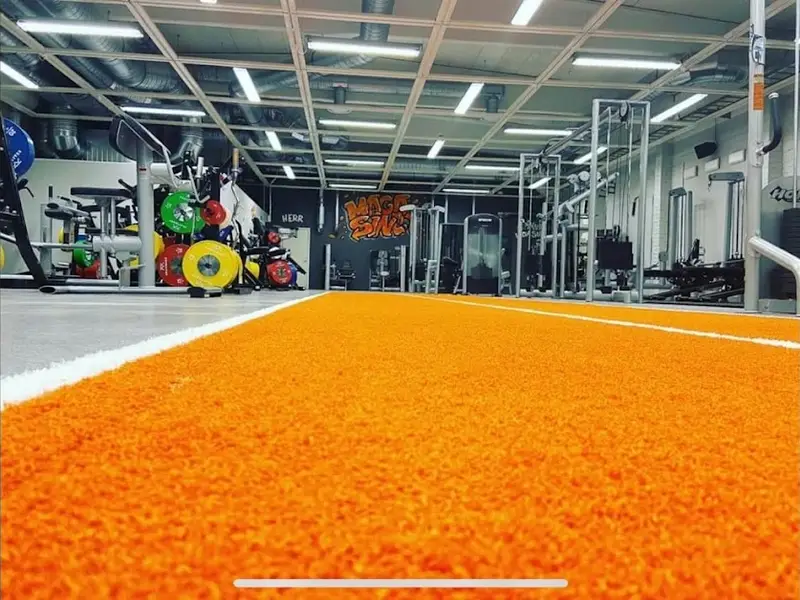 Magasinet Träning & Hälsa