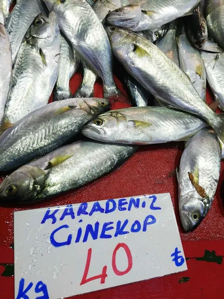 KARADENİZ BALIK EVİ KÜÇÜKÇEKMECE