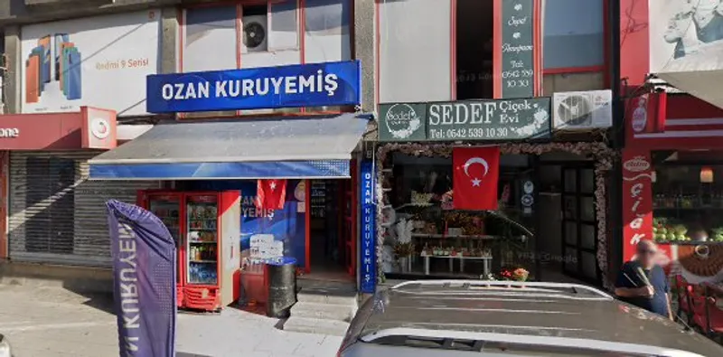 Mevlana Döner