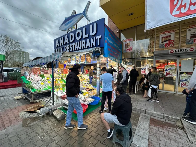 anadolu balık atakent