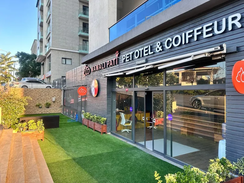 Mamalı Pati Pet Otel | Pet Kuaför | Pet Kreş