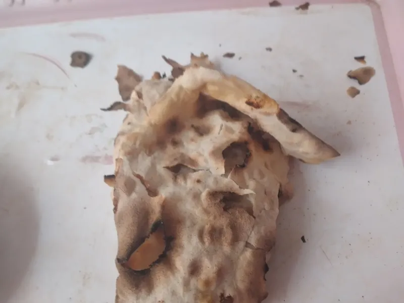 Öz Malatya Pide Ve Lahmacun Salonu