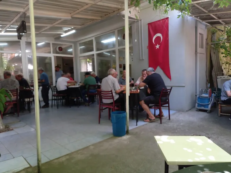 Sarmaşık Cafe