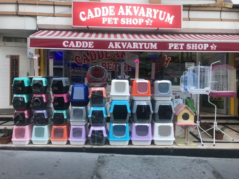 ROYAL AKVARYUM PET SHOP