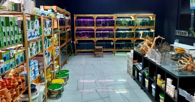 Guppy Center Petshop