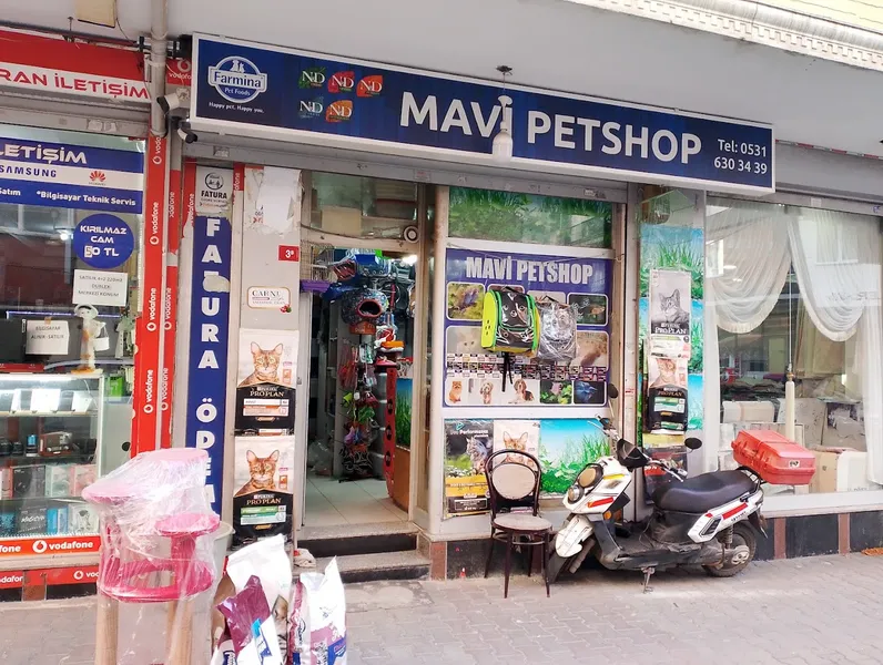 MAVİ PETSHOP KANARYA