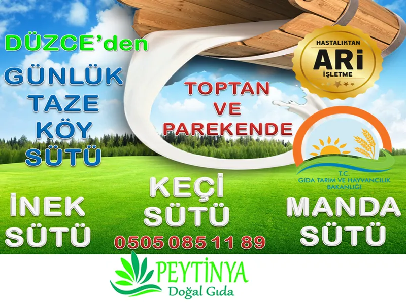 Peyti̇nya