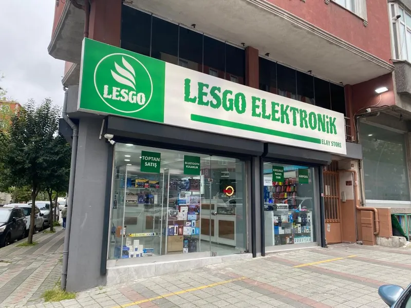 LESGO ELEKTRONİK