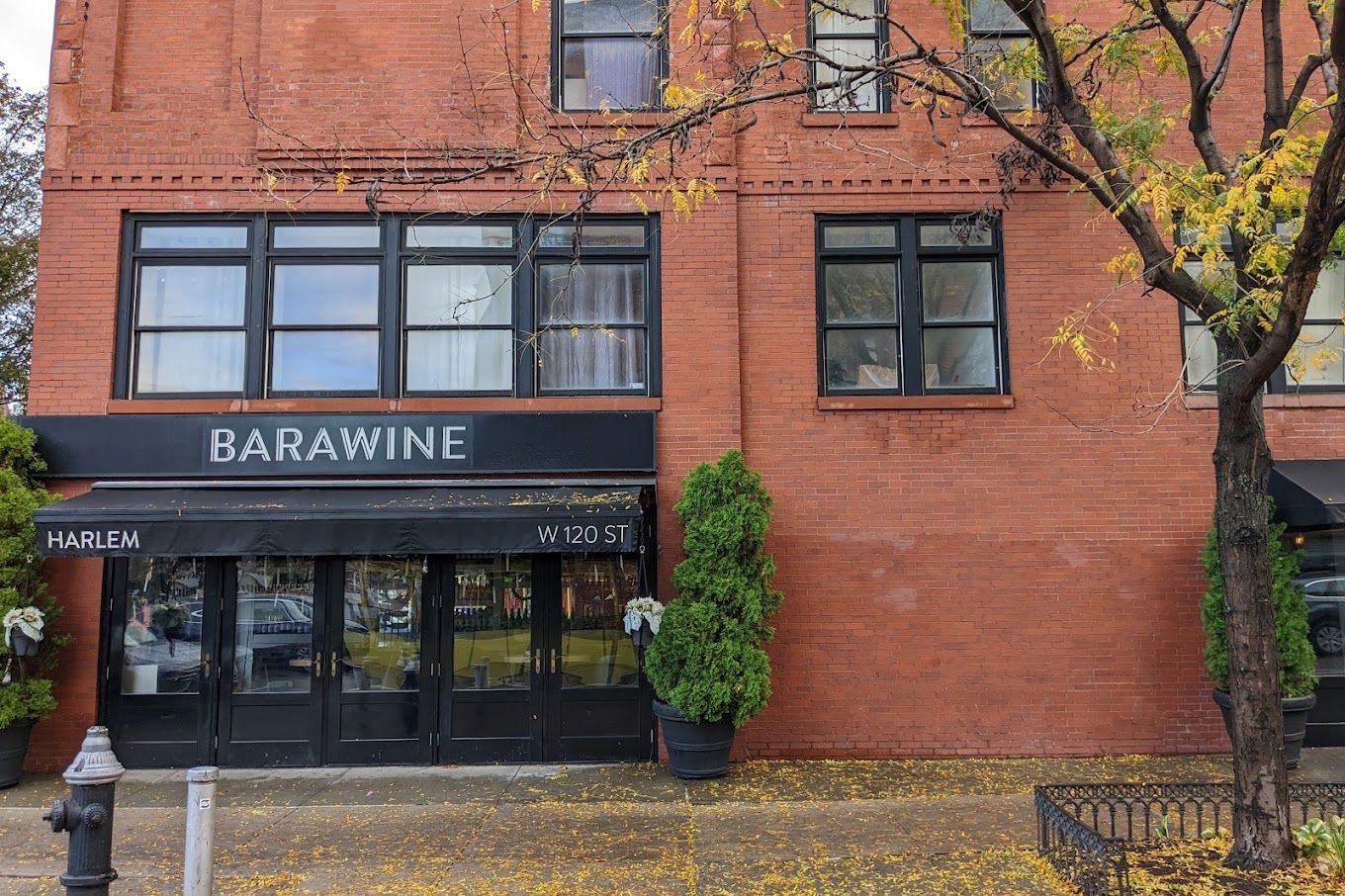 Barawine Harlem