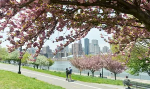 19 amazing things to do in Long Astoria New York City