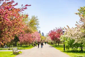14 of the best things to do in Upper West Side New York City