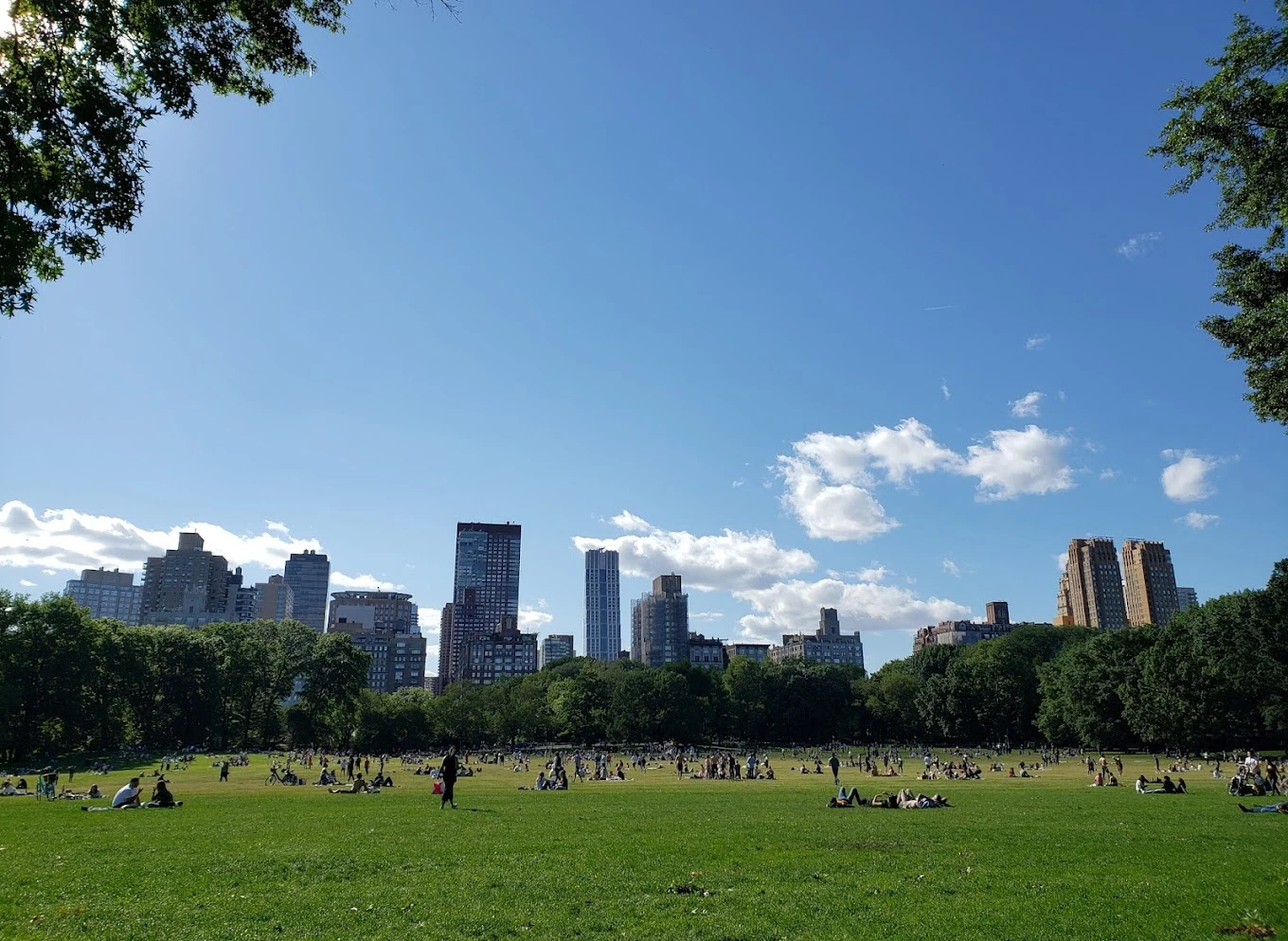 21 of the best picnic spots in New York City