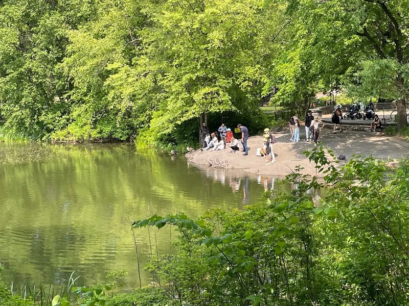 The Central Park Turtle Pond
