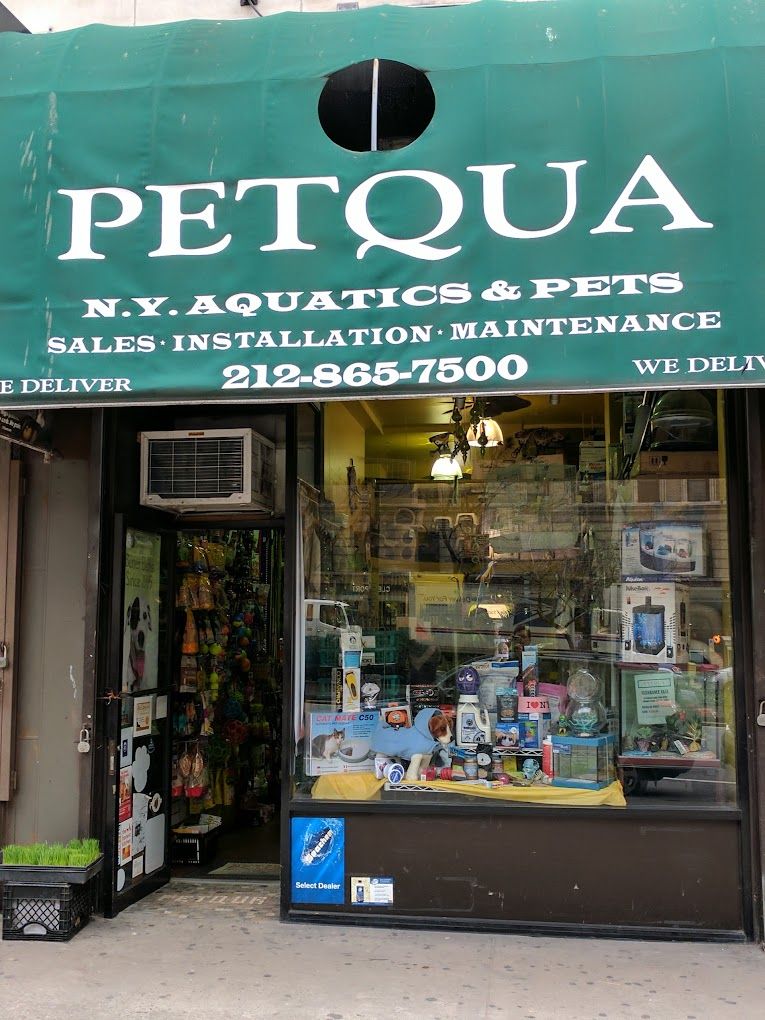 18 of the best pet stores in New York City