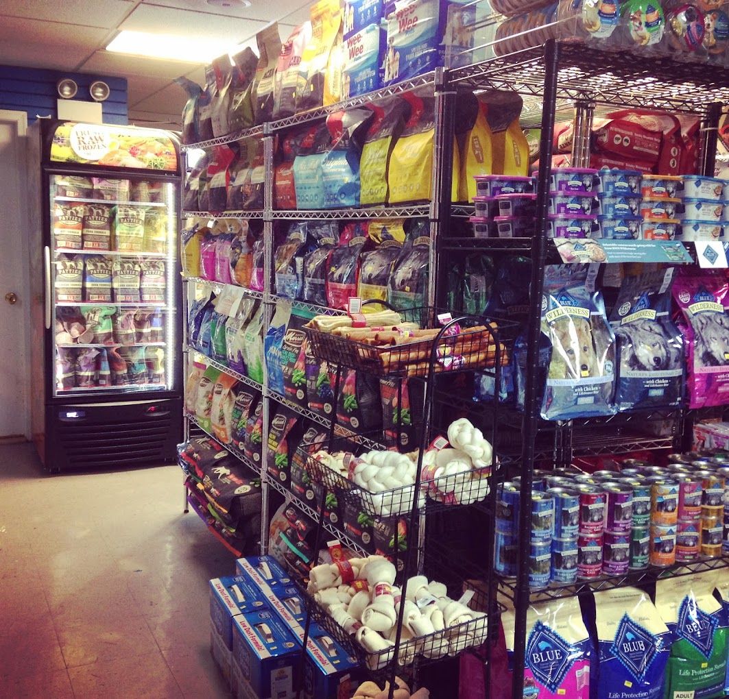 18 of the best pet stores in New York City