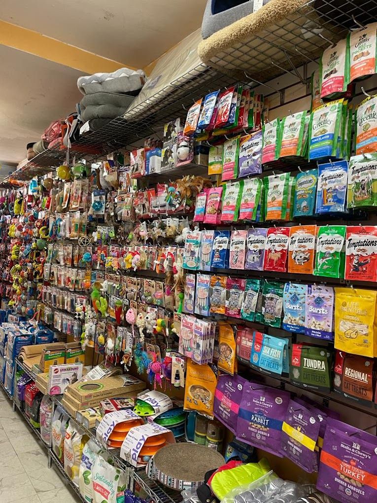 Pet store top near us
