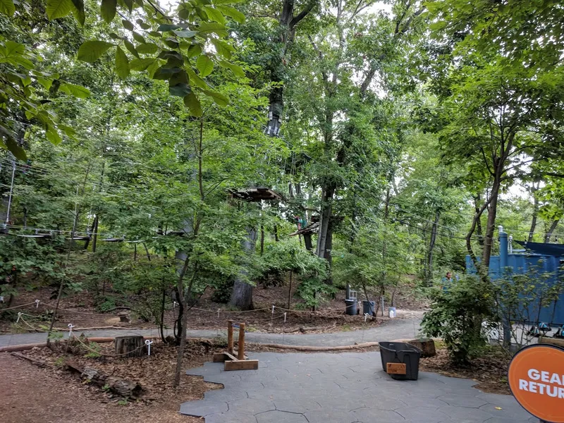 Bronx Zoo Treetop Adventure