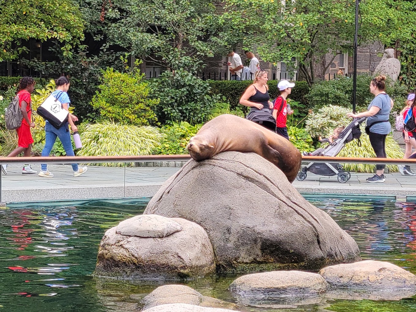 The 6 Best Zoos in New York City