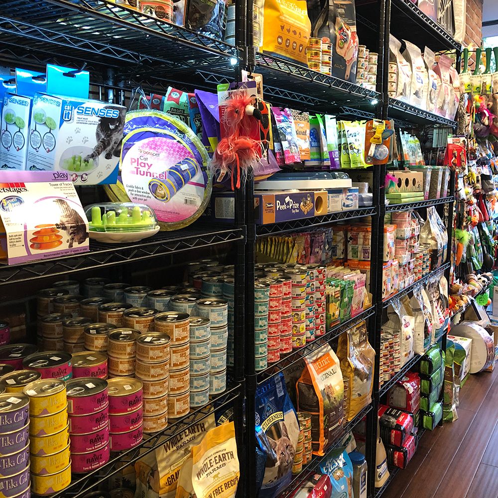 Find a great pet store in New York City