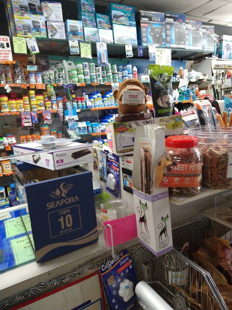 Pet stores in brooklyn clearance