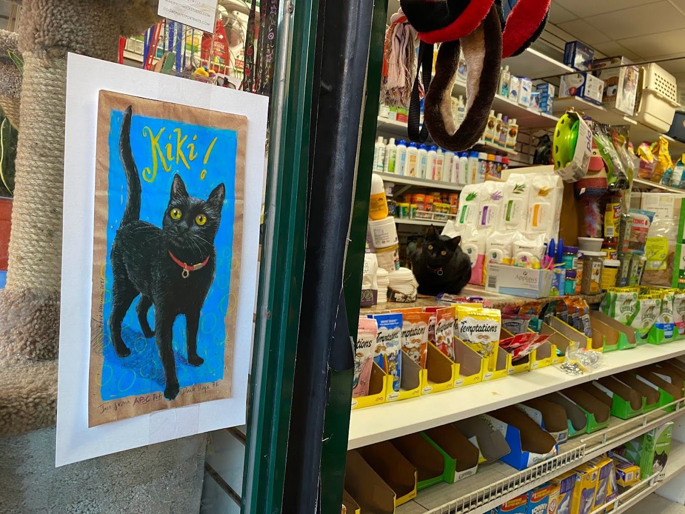 20 Best pet stores in East Flatbush New York City