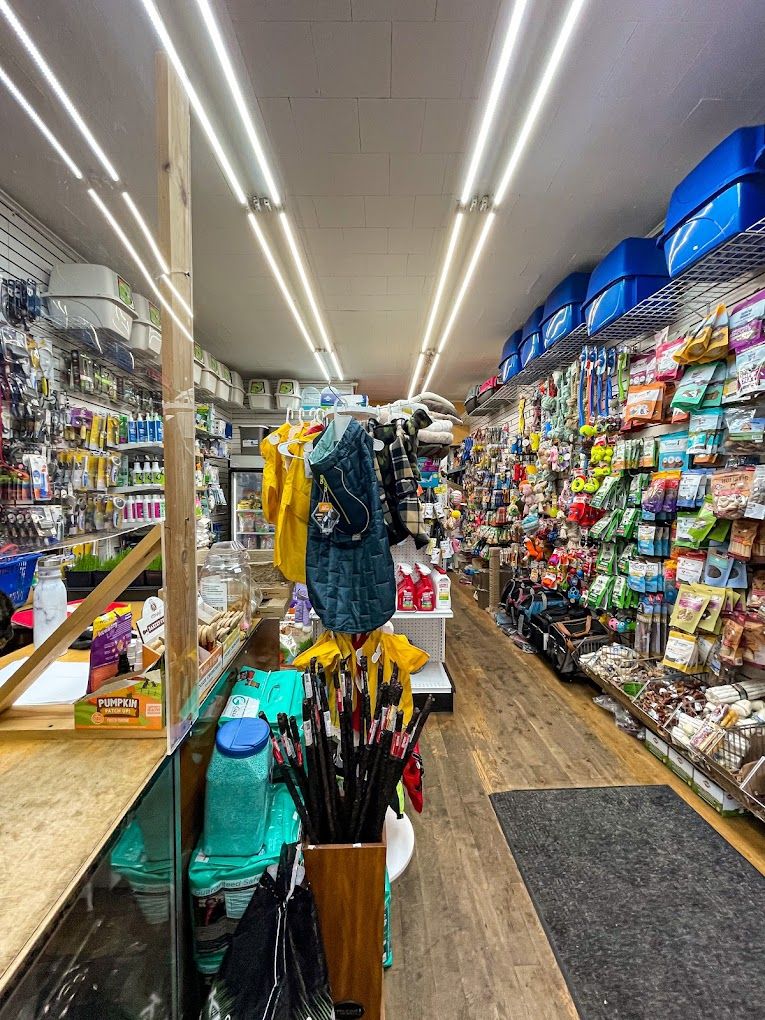 Best pet store store near me